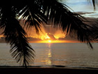 Summer wallpapers55